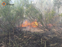 За минулу добу на території області рятувальники ліквідували 2 пожежі в екосистемах