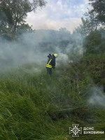 Чернівецька область: протягом минулої доби рятувальники ліквідовували пожежі на відкритій території