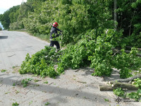 Рятувальники прибрали з автошляху повалене дерево