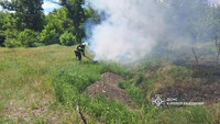 Кіровоградська область: вогнеборцями приборкано п’ять пожеж сухої рослинності