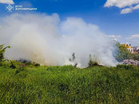У Житомирі рятувальники ліквідували загоряння сухої рослинності
