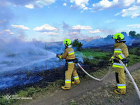 Кіровоградська область: впродовж доби рятувальники ліквідували п’ять пожеж сухостою та сміття