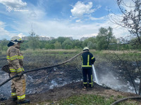 Харків: вогнеборці гасять пожежу в екосистемі