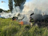 Рятувальники ДСНС продовжують ліквідовувати пожежі у природних екосистемах