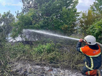 Рятувальники ліквідовують пожежі на відкритих територіях