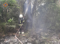 Триває боротьба рятувальників з пожежами в екосистемах