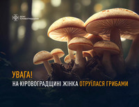 На Кіровоградщині жінка отруїлася грибами