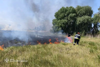 Вогнеборці ліквідовують масштабні пожежі в екосистемах Дніпропетровщини