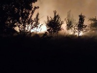 Тернопільщина: ліквідовано 8 пожеж