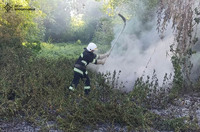 Рятувальники продовжують ліквідовувати пожежі у природних екосистемах
