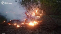 За минулу добу на території області рятувальники ліквідували 4 пожежі в екосистемах