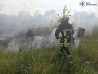 За добу ліквідовано 9 пожеж в екосистемах області