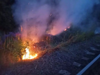 За добу ліквідовано 2 пожежі сухої трави, цьогоріч — понад 350 займань у природних екосистемах!