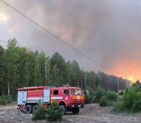 Київська область: у Вишгородському районі локалізовано пожежу в природній екосистемі,