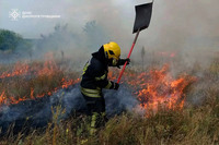 На Дніпропетровщині протягом доби рятувальники ліквідували 56 пожеж в екосистемах