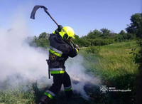 Рятувальники Кіровоградського гарнізону ліквідували п’ятнадцять пожеж сухостою та сміття, три з яких - спільно з МПК