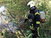 За минулу добу на території області рятувальники ліквідували 10 пожеж в екосистемах