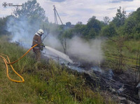 За добу в регіоні виникло 14 пожеж в екосистемах