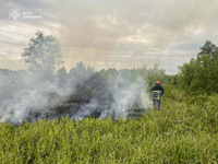 Сумська область: рятувальники упродовж доби 8 разів ліквідовували загоряння на відкритих територіях