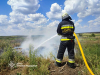 Кіровоградська область: протягом доби, що минула, вогнеборцями ліквідовано 6 пожеж сухої рослинності