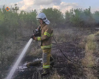 За минулу добу на території області рятувальники ліквідували 13 пожеж в екосистемах