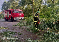 За добу рятувальники п’ять разів залучалися до прибирання повалених негодою дерев