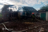 Новомосковський район: вогнеборці ліквідували займання господарчої споруди