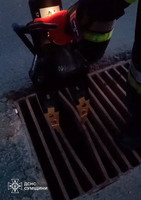 М. Суми: співробітники ДСНС вивільнили кішку із дощової каналізації