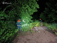 На Житомирщині рятувальники ліквідовують наслідки негоди