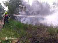 Кіровоградська область: за добу, що минула, ліквідовано 7 пожеж на відкритих територіях