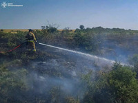 17 пожеж в природних екосистемах — 16 га випаленої землі, до їх гасіння залучено 60 вогнеборців