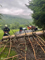 Рятувальники оперативно розкрижували дерева, що впали через негоду