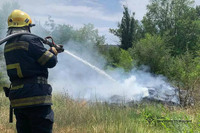 На Дніпропетровщині протягом доби вогнеборці ліквідували 25 пожеж в екосистемах