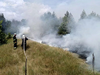 Сумський район: співробітники ДСНС разом з лісниками та аграріями ліквідували масштабне загоряння на відкритій території