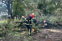 М. Павлоград: фахівці ДСНС прибрали повалене дерево з автошляху