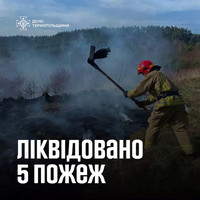 За минулу добу рятувальники Тернопільщини ліквідували 5 пожеж
