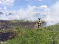 Рятувальники ліквідували 5 пожеж на відкритих територіях