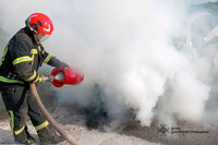 Криворізький район: співробітники ДСНС загасили палаючий автомобіль