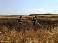 У Вознесенському районі займання сухої трави призвело до пожежі ячменю на корені