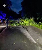 Львівський район: рятувальники та правоохоронці ліквідували наслідки сильного пориву вітру, що повалив дерева на дороги