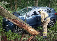 Сумський район: рятувальники допомогли вивільнити авто, на яке внаслідок негоди впало дерево