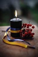 День скорботи і вшанування пам'яті  жертв війни в Україні