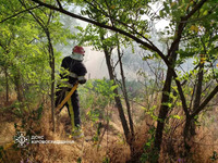 Минулої доби на Кіровоградщині рятувальниками приборкано шість пожеж сухої рослинності та сміття