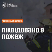 Чернівецька область: за минулу добу ліквідовано 9 пожеж на відкритій території